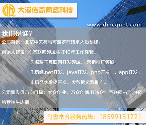 阿克蘇與烏魯木齊軟件開發及運行維護服務 技術賦能新疆數字化發展